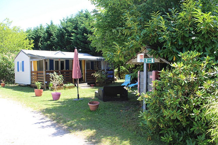 Carcans - La Chrysalide3