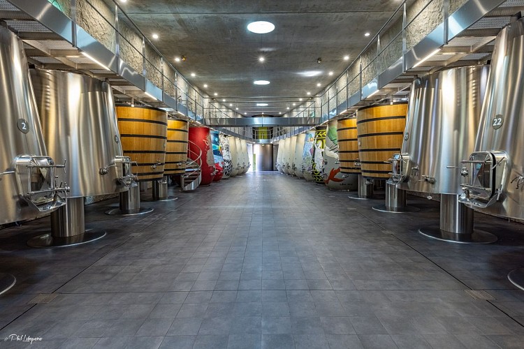 Chai_Les_Carmes_Haut_Brion@Philippe_Labeguerie-3237