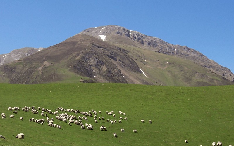 Pic d'Orhy