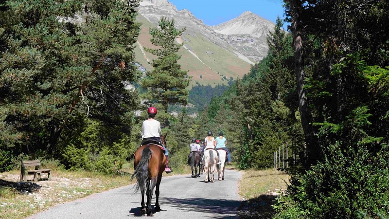 Séjours colonie Couleur Nature - Monta' cheval 6, 8, 13 & 15 jours