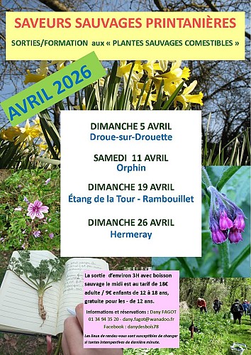 Saveurs sauvages printanières