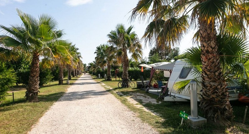 Camping Neptune - Grau d'Agde_3