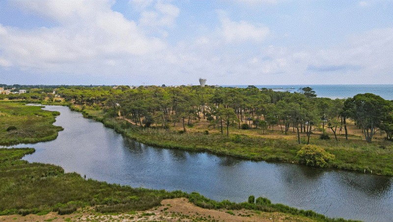 Camping La Tamarissière - La Tamarissière_10