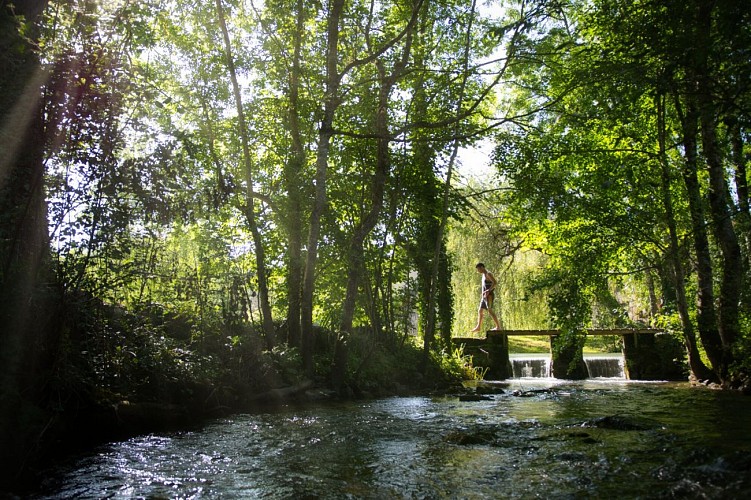 guinguette-ete-baignade-le-grand-chatelier