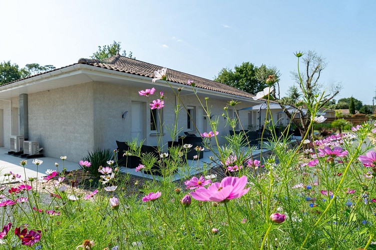 bnb_image_225