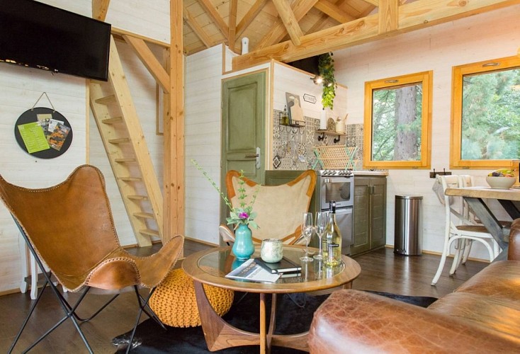 Castél de l'Arbre - Château de Memanat