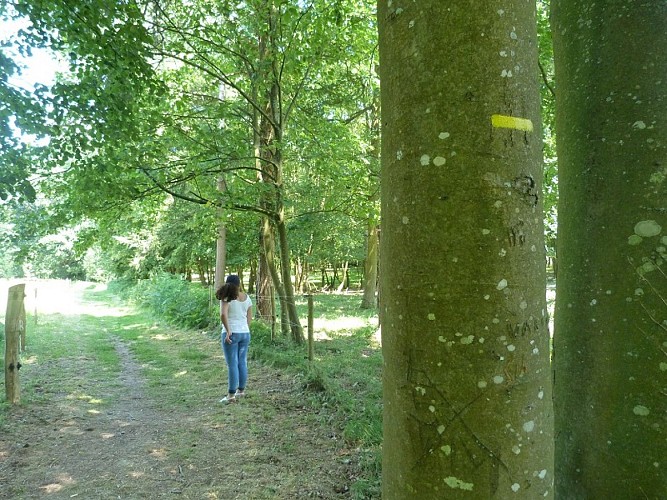 image du object