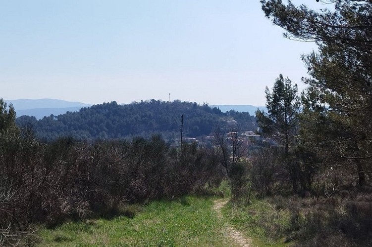 Colline du Fort