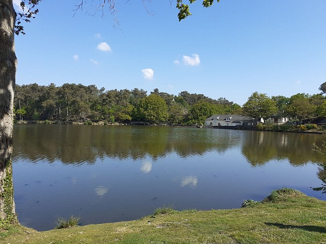 ETANG DE LA ROCHE