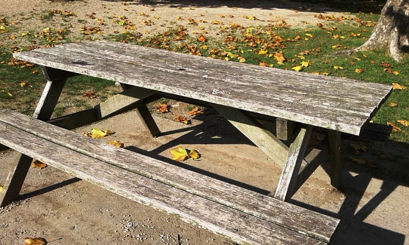 AIRE DE PIQUE-NIQUE LA PAQUELAIS