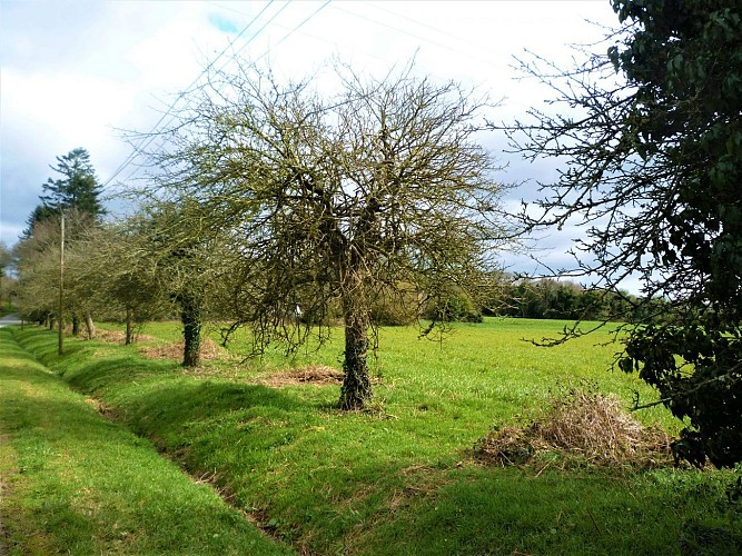 image du object