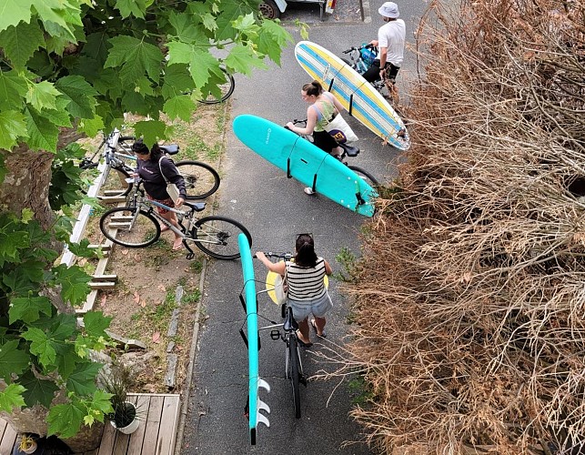 bike-board