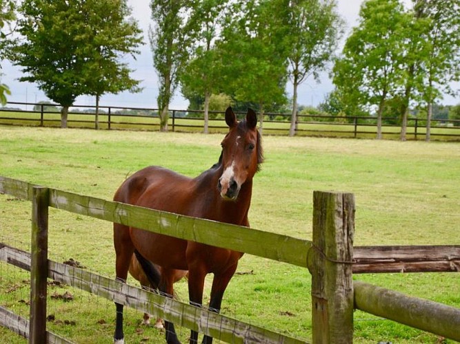 Chambre d'hôtes Le Val Anger