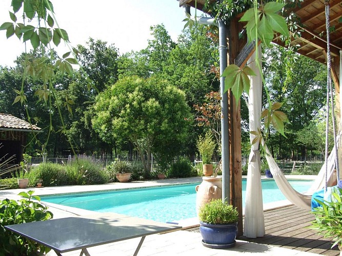 photo1