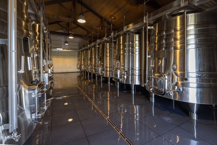 Hyve_Concept_LaRose_┬®Philippe_Labeguerie-A-3159