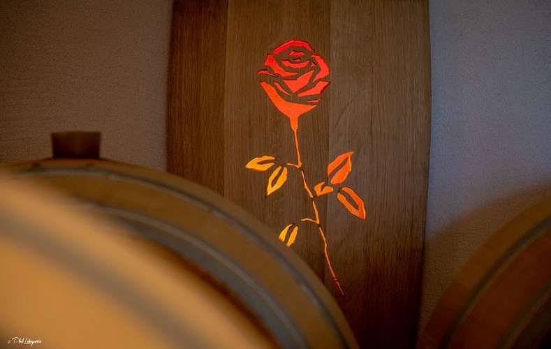 hive-concept-chateau-la-rose-pourret-c-philippe-labeguerie-0533-67347be5650e1197765896__68d0516b5df2f