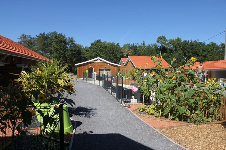 redi 2 Drôles d'oiseaux (6)