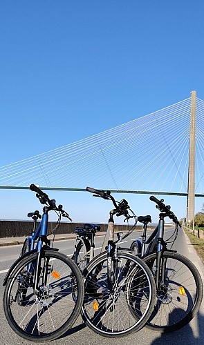 IMG_20220409_191040__01