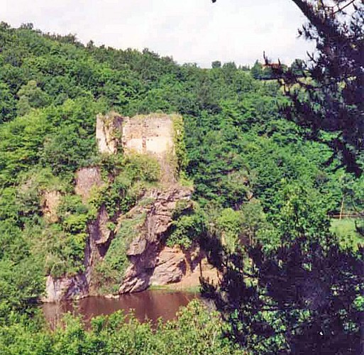 Ruine du château de la roche guillebaud