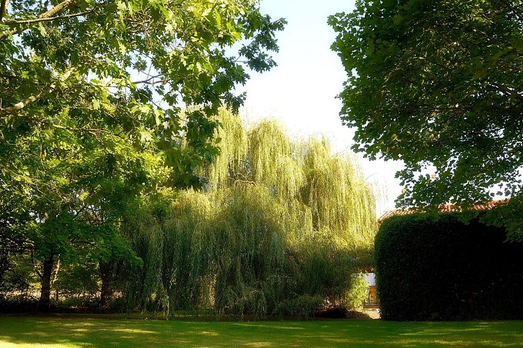 Le Gîte de Dominique et Bruno