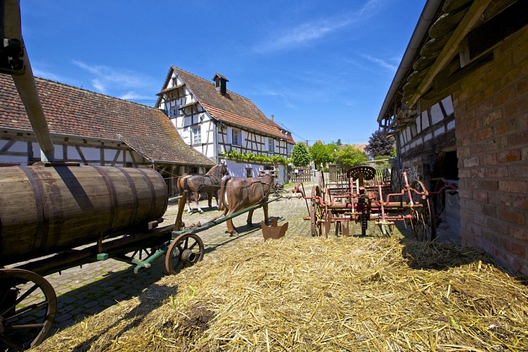 Europäische Nacht der Museen: Maison Rurale de l'Outre-Forêt