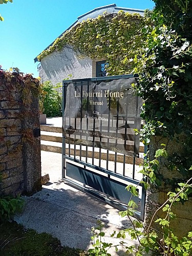 Meublé - fourmi home