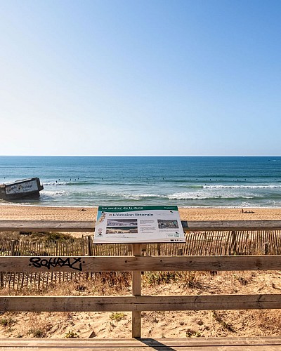 Capbreton-Sentier-Dune