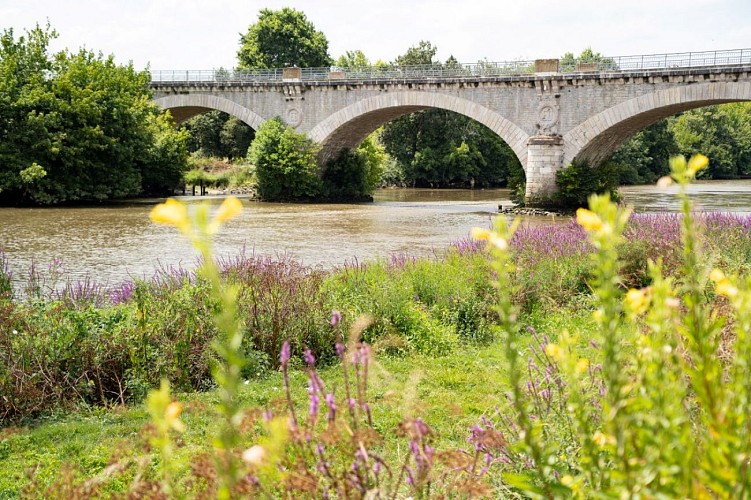 Saubusse_pont-été