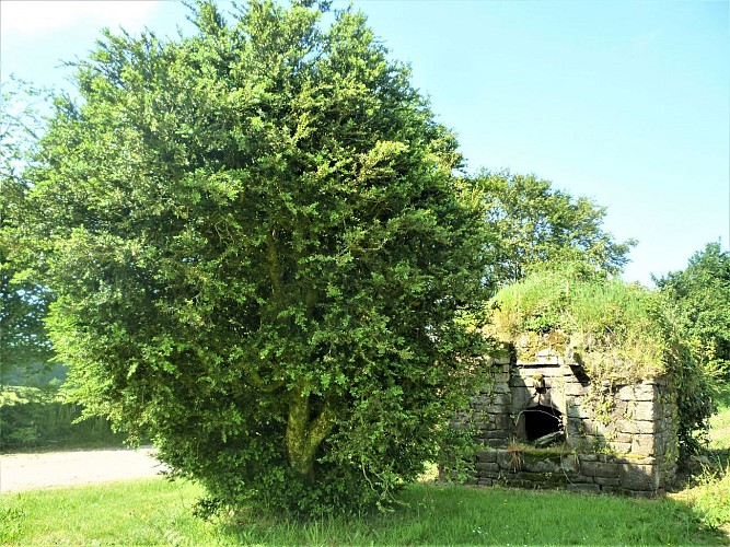 image du object