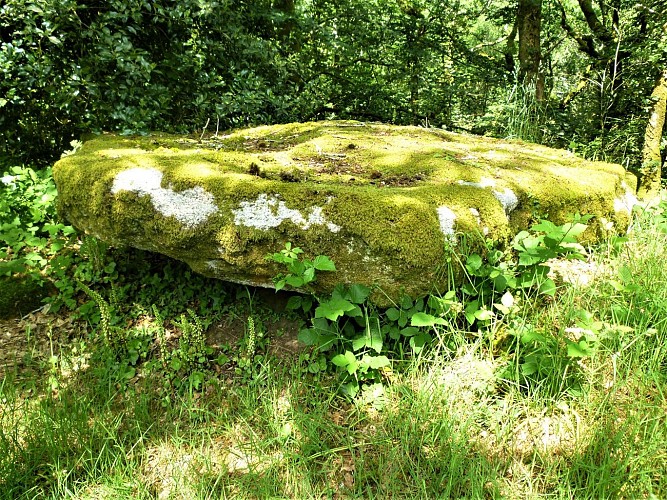 image du object