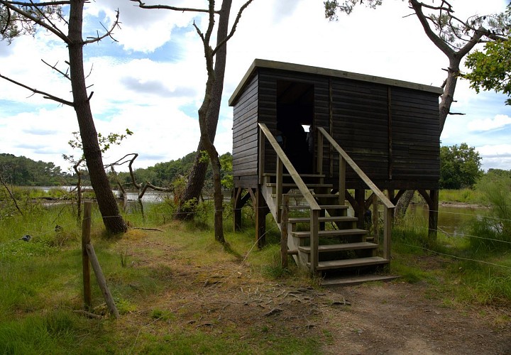 Observatoire du marais de Mousterlin