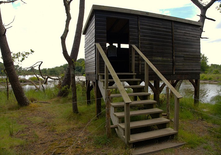 Observatoire du marais de Mousterlin