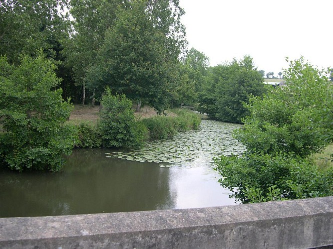 Erdre