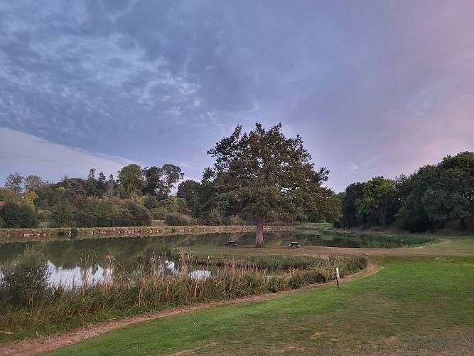 BORNE DE SERVICE CAMPING-CAR