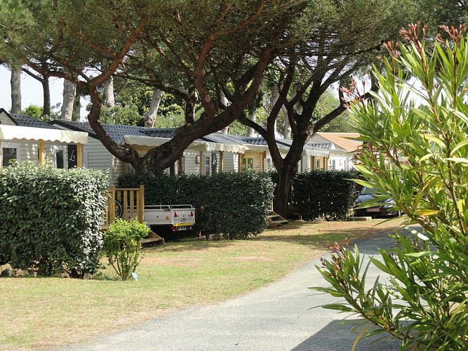 CAMPING LA BAIE D'AUNIS