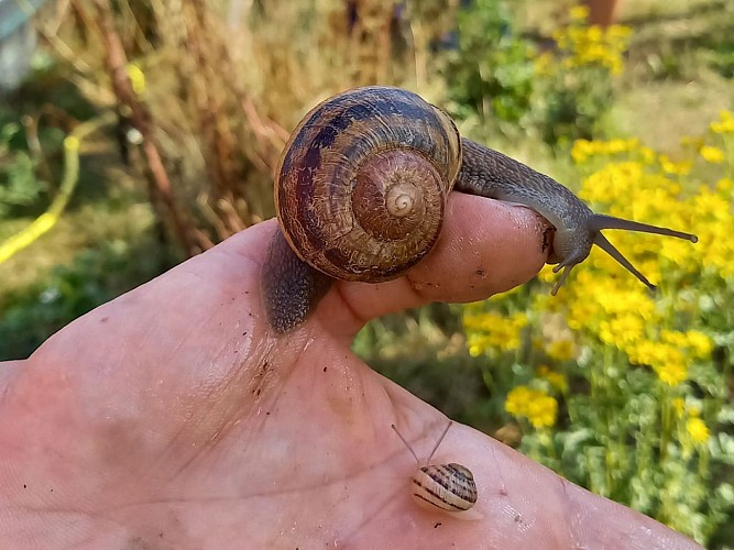 Aire de camping-cars Hélix Gourmet