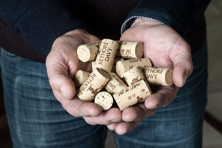 Vignoble Réthoré Davy