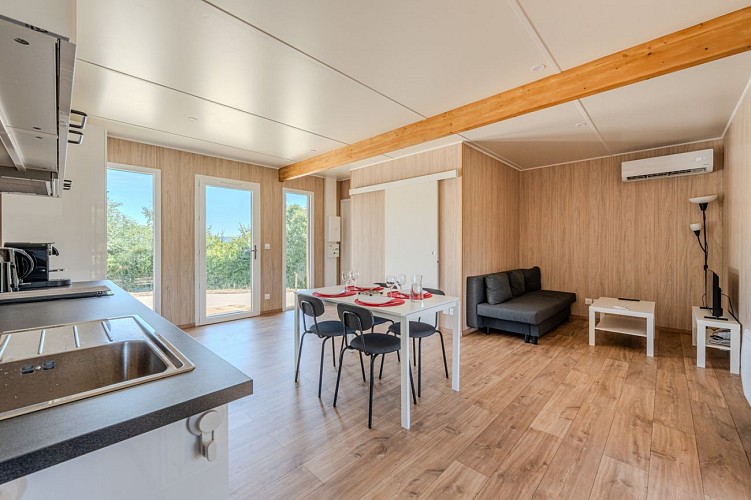 11 - Vue Pièce Principale et Salon