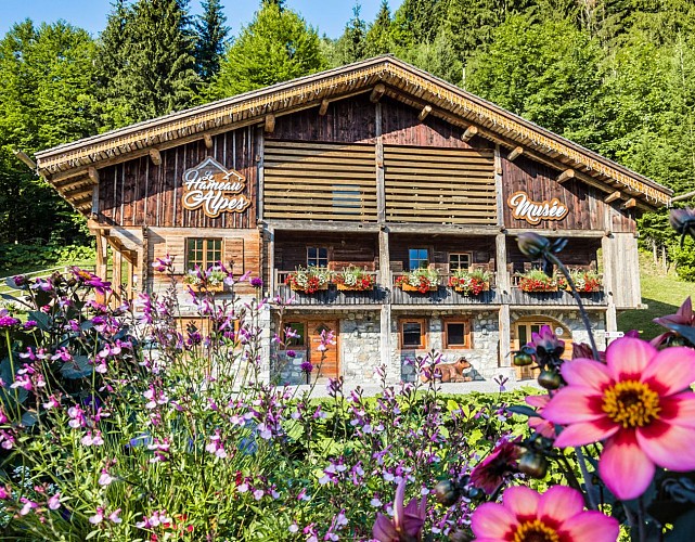 Het gehucht van de Alpen
