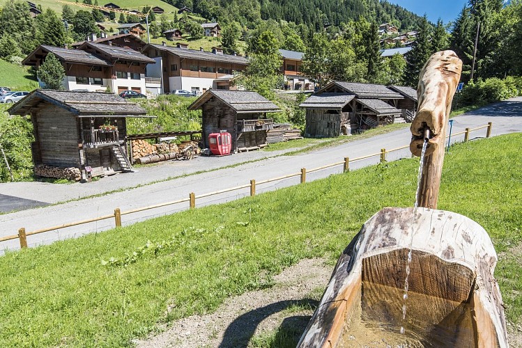 Het gehucht van de Alpen