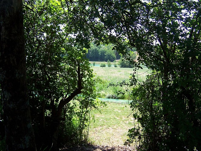 MEUBLÉ "LES HIRONDELLES"