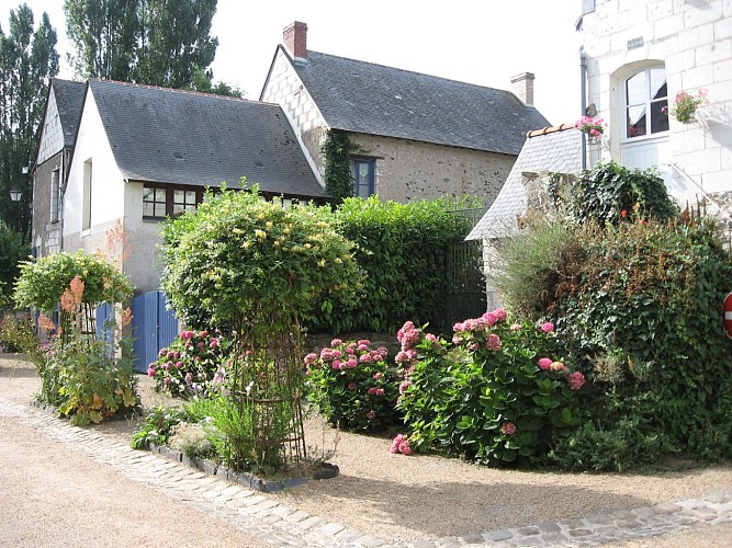 Béhuard, une île sur la Loire