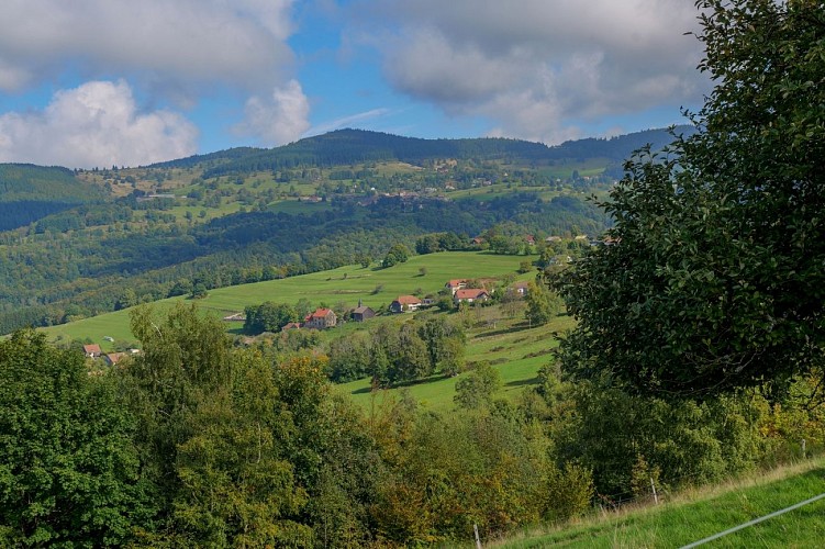 Du paysage vu au paysage dégusté... du champ à l'assiette à la ferme-auberge du Ban de la Roche