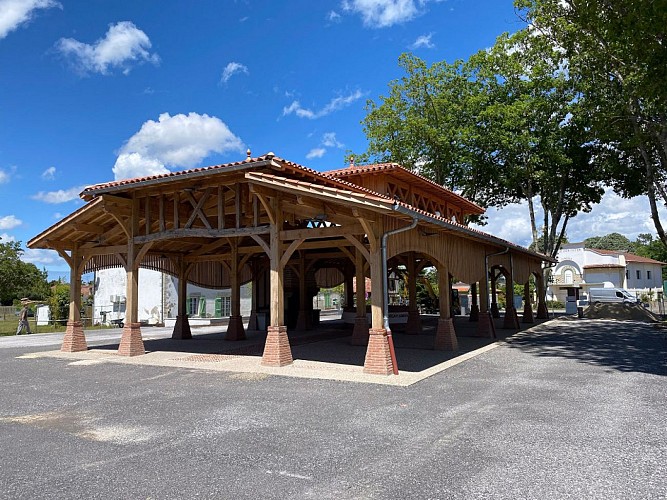 CLNT-LINXE-Halle (1)TS