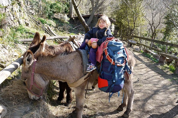 Anambule - Hiking with a donkey