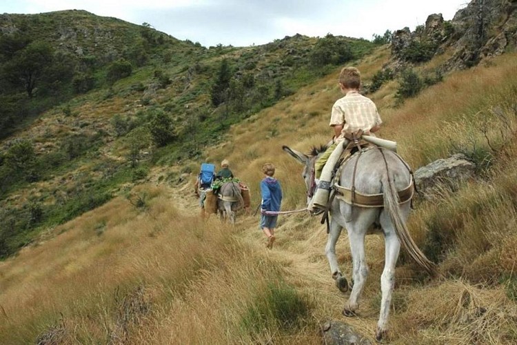 Anambule - Hiking with a donkey