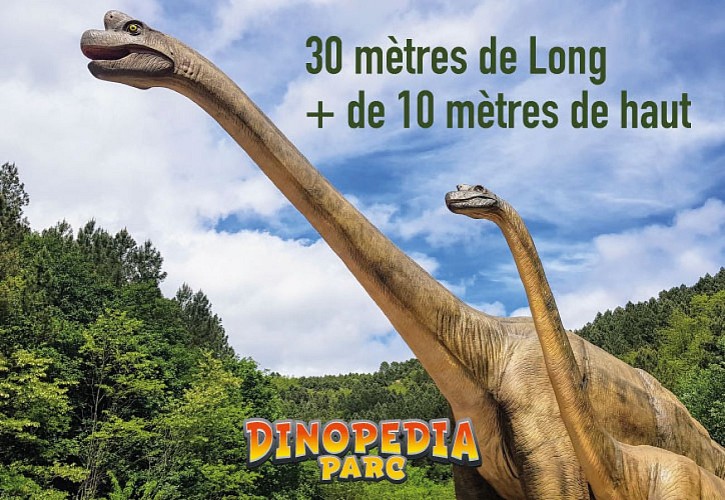 Dinopedia Parc