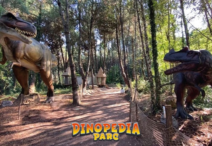 Dinopedia Parc