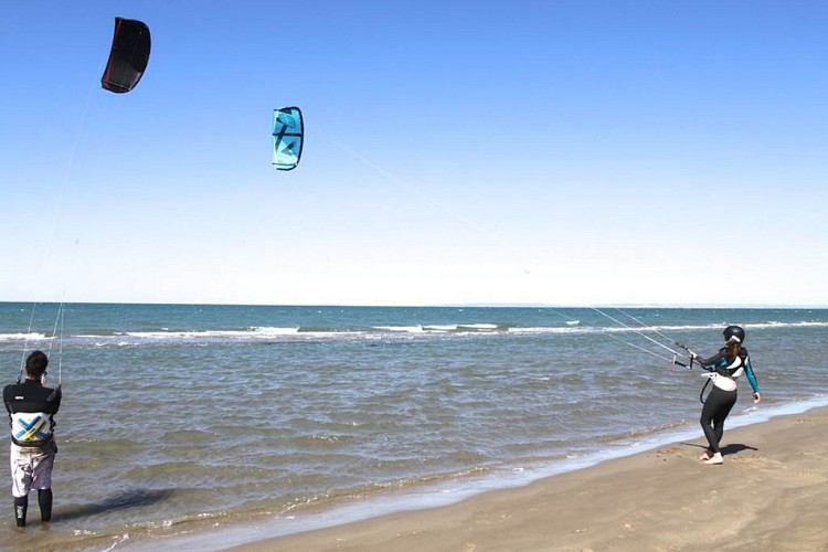Hibiskite
