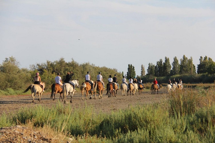 Ausritte - Abrivado Ranch